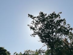 -上海宝龙美术馆
