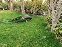 -金庭庄园酒店彩虹厅