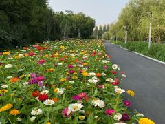 -长春公园(普阳街道)