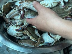 -芦潮港集贸市场