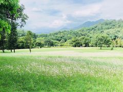 -福建鲤鱼洲酒店