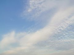 -碧海金沙