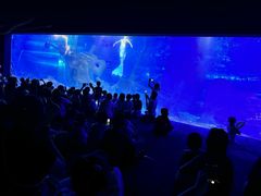 -江和美海洋公园