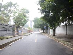 -黄桷坪涂鸦艺术街