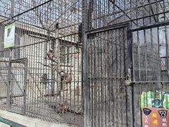 -保定市动物园