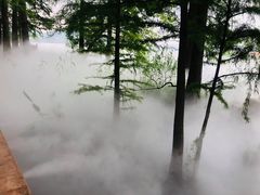 -东湖落雁景区
