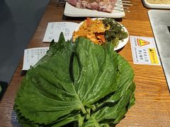 苏子叶-汉城烧烤(西稍门劳动路店)