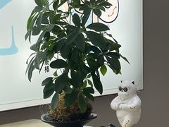 -长风拨筋养身(金虹桥店)