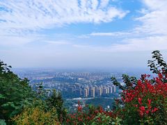 -杭州半山国家森林公园