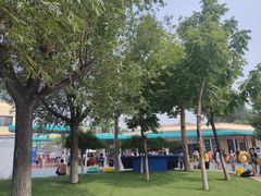 -秦皇岛乐岛海洋王国