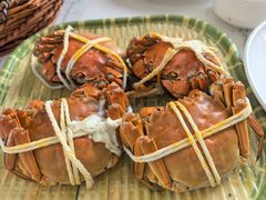 -蟹天蟹地农家菜·阳澄湖大闸蟹(浅水湾店)