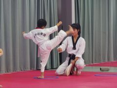 -陈中跆拳道(中关村馆)