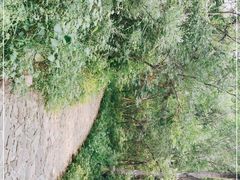 -青龙山风景区