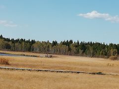 -塞罕坝国家级自然保护区