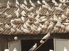 -无锡动物园·太湖欢乐园