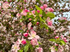 -元大都城垣遗址公园