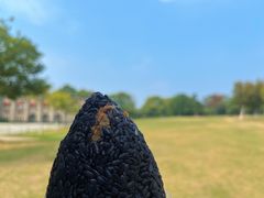 -钟山体育运动公园
