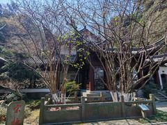 -十八棵（老龙井）御茶园(老龙井店)
