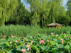 -太阳宫公园