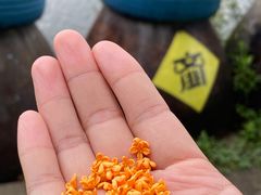 -鄞州雪菜博物馆