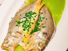 烧椒汁野生大黄鱼-飶香居(省博物馆店)