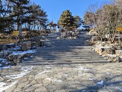 -大兴滨河森林公园