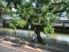 -广东胜利宾馆西关粤中餐厅
