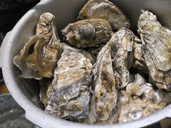 -蚝英雄·自助烤蚝(高新店)