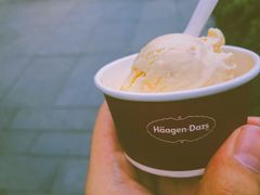 -哈根达斯(武汉天地店)