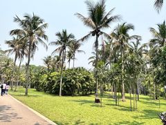 -中国科学院西双版纳热带植物园