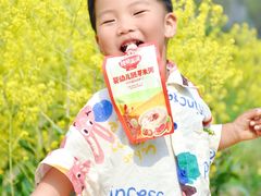 -西青郊野公园