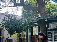 -湖南别院·美学庭院餐厅(惠阳店)