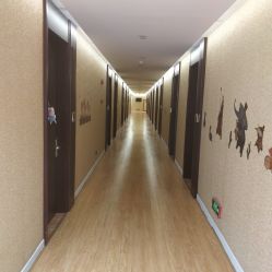 -卓玥国际月子会所(罗山路店)