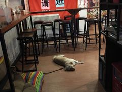 等位区-元氏钵仔糕(北京路店)