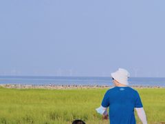 -南汇嘴观海公园