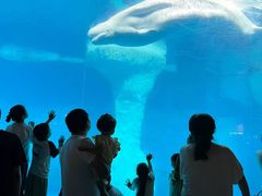 -海合安武汉极地海洋公园