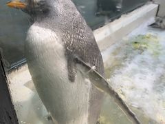 -大连圣亚海洋世界