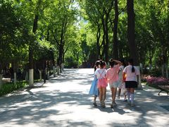 -莲湖公园
