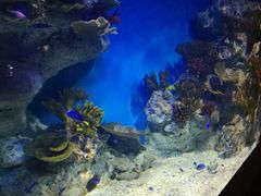 -福州罗源湾海洋世界旅游区