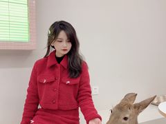 -怪兽屋·羊驼·猫咖·狗咖(俊华广场店)