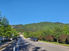 -北京西山国家森林公园