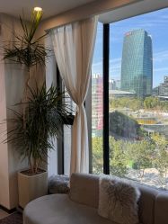 -张小野·专业半永久纹眉