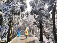 -南岳衡山风景名胜区