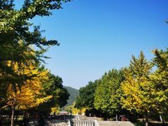 -晋祠公园