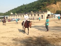 iphone_upload_pic-枫露马术学院(藏书校区)