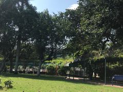 -纪念孙中山市政公园