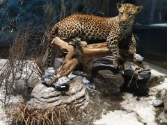 -陕西自然博物馆