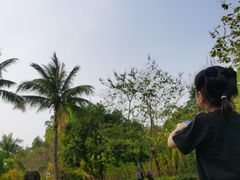 -南沙蒲洲花园