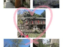 -玫瑰小镇