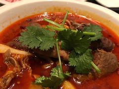 麻辣牛杂-新一哥粤菜火锅(瑞金店)